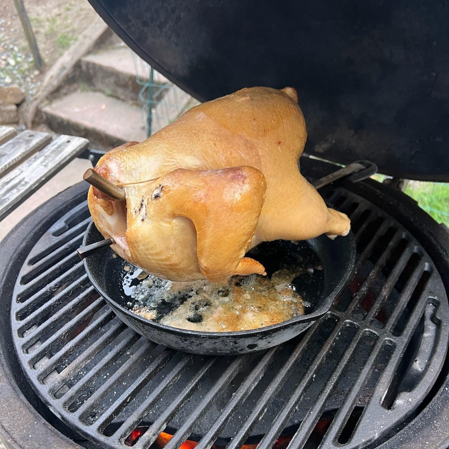 PoulTree Chicken Rod "The Perch" & Lodge Iron Skillet (Bundle)