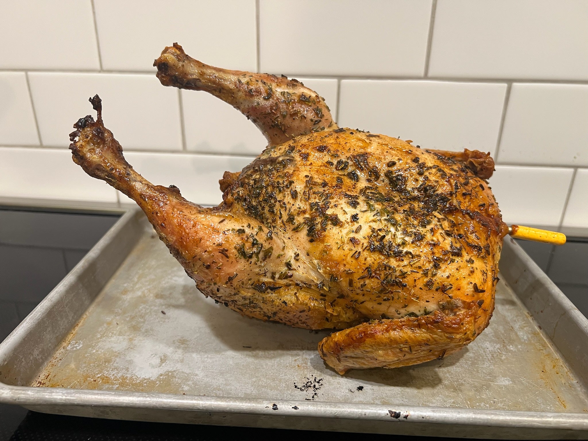 PoulTree Chicken Rod + Foot Rest Bundle (skillet-free stand)