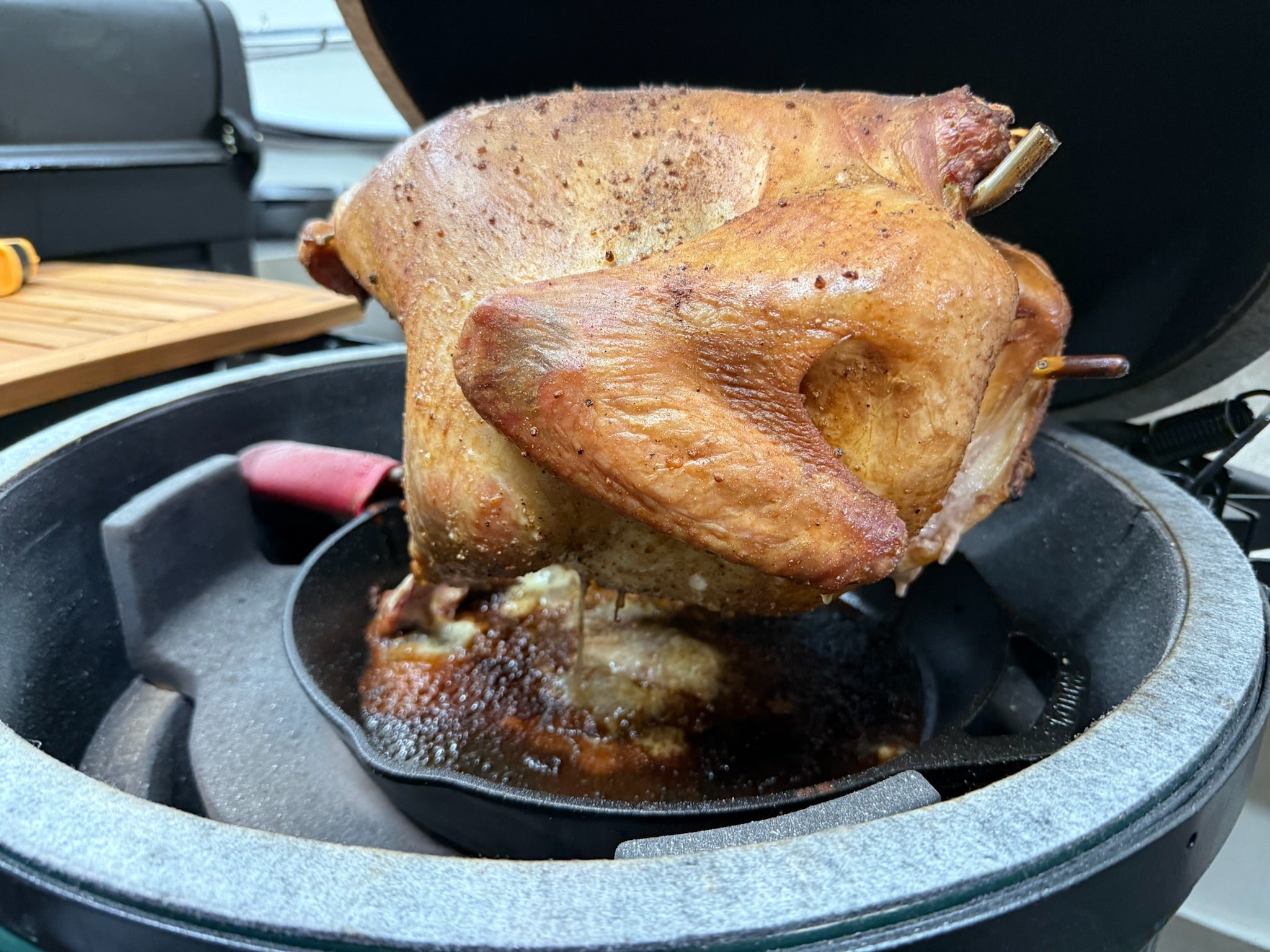 PoulTree Gobbler XL Inside Green Egg BBQ