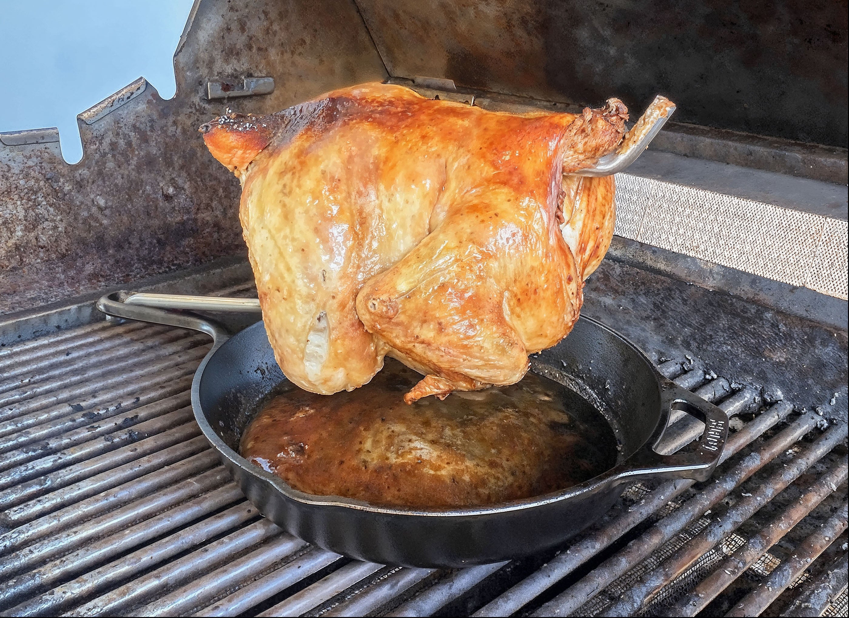 PoulTree Chicken Rod "The Perch" (DIY - No Skillet)