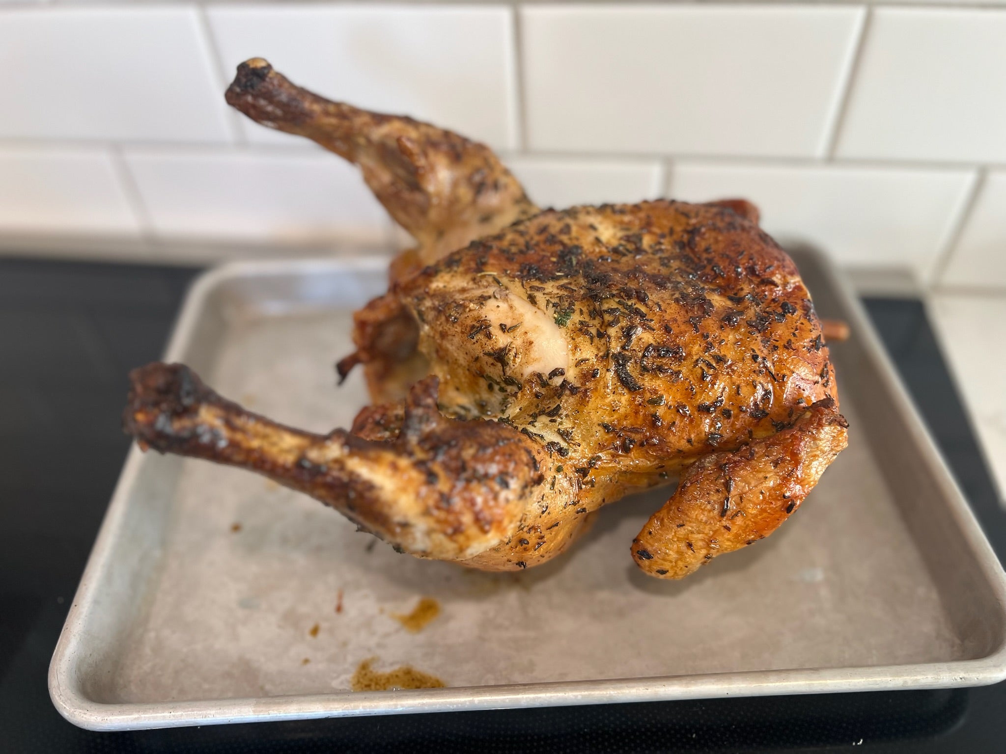 PoulTree Chicken Rod "The Perch" & Lodge Iron Skillet (Bundle)